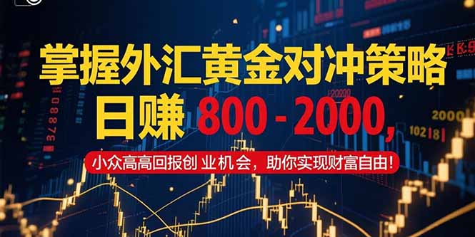 掌握外汇黄金对冲策略，日赚 800 – 2000，小众高回报创业机会，助你实…-生财社