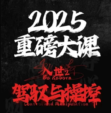 2025重磅大课，入世2，驾驭与控制-生财社