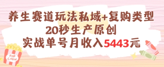 养生赛道玩法私域+复购类型，20秒生产原创实战单号月收入5k+-生财社