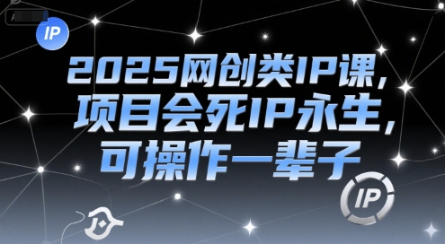 2025网创类IP课，项目会死IP永生，可操作一辈子-生财社