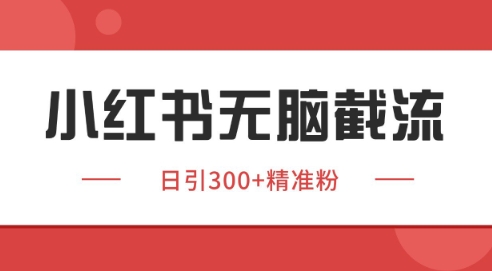 小红书截流同行客源，独家野路子获客玩法 日引200+暴力获客【揭秘】-生财社