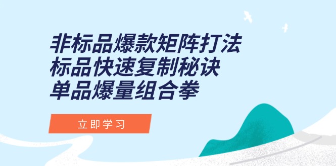 非标品爆款矩阵打法，标品快速复制秘诀，单品爆量组合拳-生财社