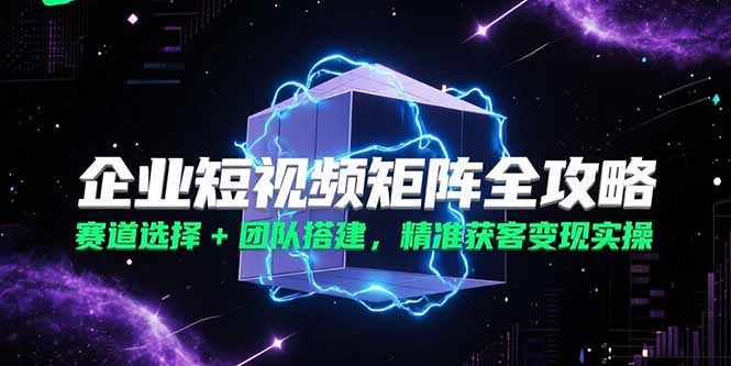 企业短视频矩阵全攻略，赛道选择+团队搭建，精准获客变现实操-生财社