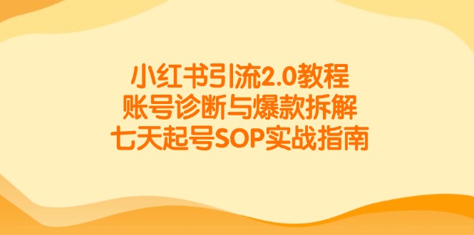 小红书引流2.0教程，账号诊断与爆款拆解，七天起号SOP实战指南-生财社