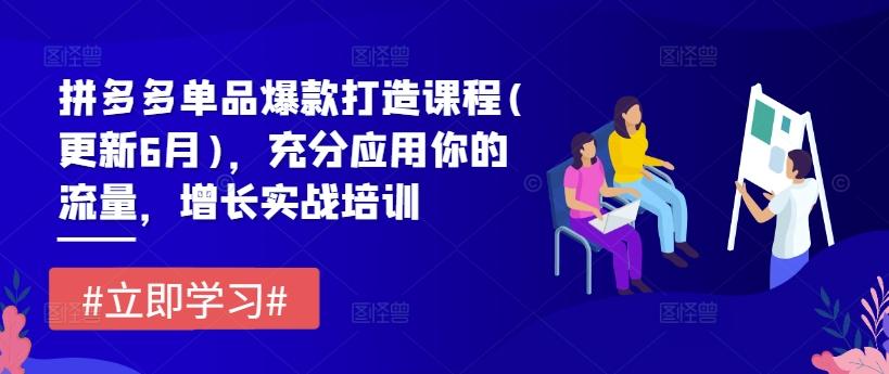 拼多多单品爆款打造课程(更新6月)，充分应用你的流量，增长实战培训-生财社