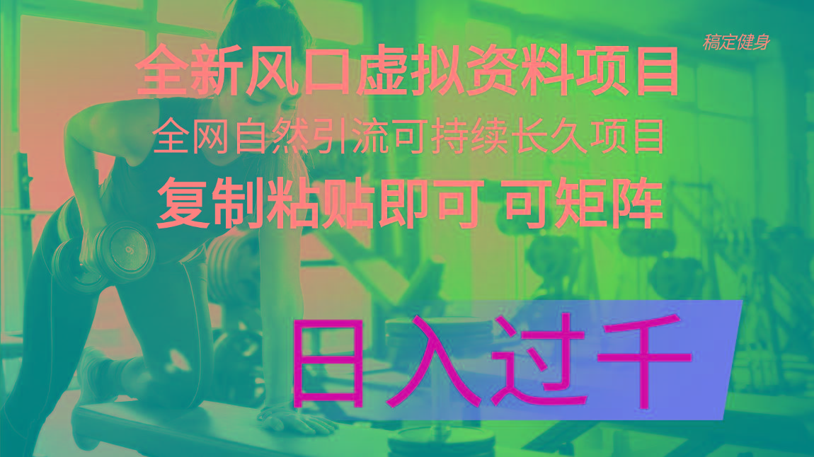 全新风口虚拟资料项目 全网自然引流可持续长久项目 复制粘贴即可可矩阵…-生财社