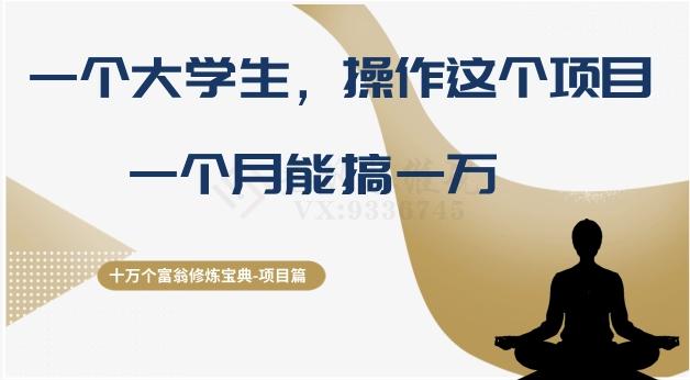 十万个富翁修炼宝典之4.一个大学生操作这个项目，一个月能搞一万-生财社
