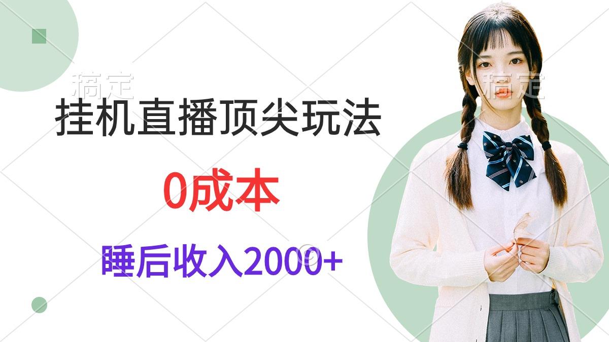 (9715期)挂机直播顶尖玩法，睡后日收入2000+、0成本，视频教学-生财社