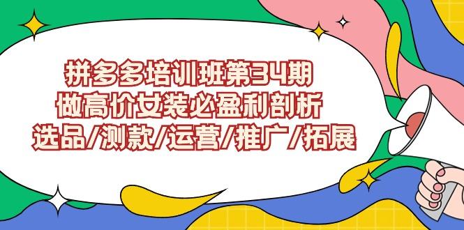 (9333期)拼多多培训班第34期：做高价女装必盈利剖析  选品/测款/运营/推广/拓展-生财社