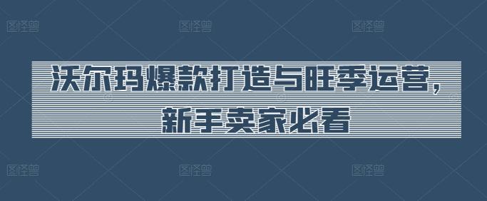 沃尔玛爆款打造与旺季运营，新手卖家必看-生财社