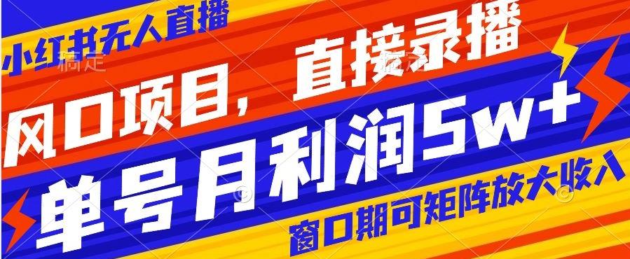 风口项目，小红书无人直播带货，直接录播，可矩阵，月入5w+【揭秘】-生财社