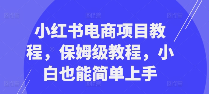 小红书电商项目教程，保姆级教程，小白也能简单上手-生财社