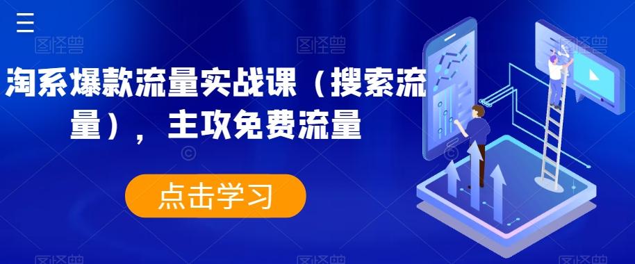 淘系爆款流量实战课（搜索流量），主攻免费流量-生财社
