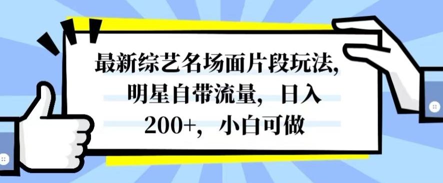 最新综艺名场面片段玩法，明星自带流量，日入200+，小白可做【揭秘】-生财社