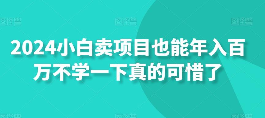 2024小白卖项目也能年入百万不学一下真的可惜了-生财社