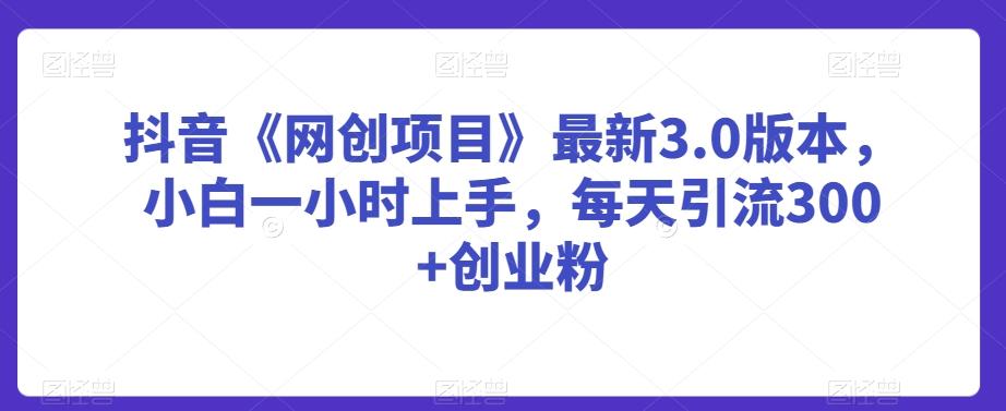 抖音《网创项目》最新3.0版本，小白一小时上手，每天引流300+创业粉【揭秘】-生财社