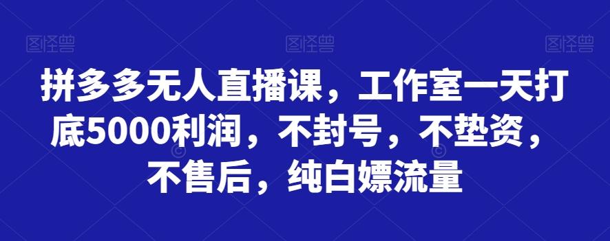拼多多无人直播课，工作室一天打底5000利润，不封号，不垫资，不售后，纯白嫖流量-生财社