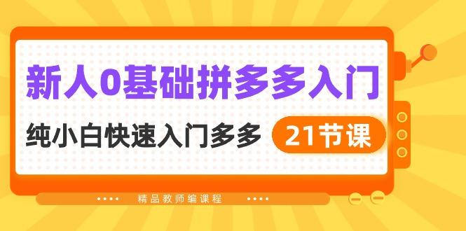 新人0基础拼多多入门，​纯小白快速入门多多(21节课-生财社