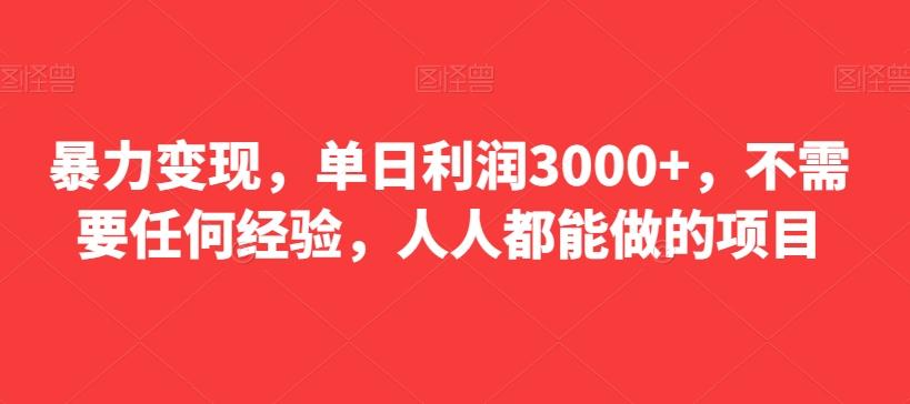 暴力变现，单日利润3000+，不需要任何经验，人人都能做的项目-生财社
