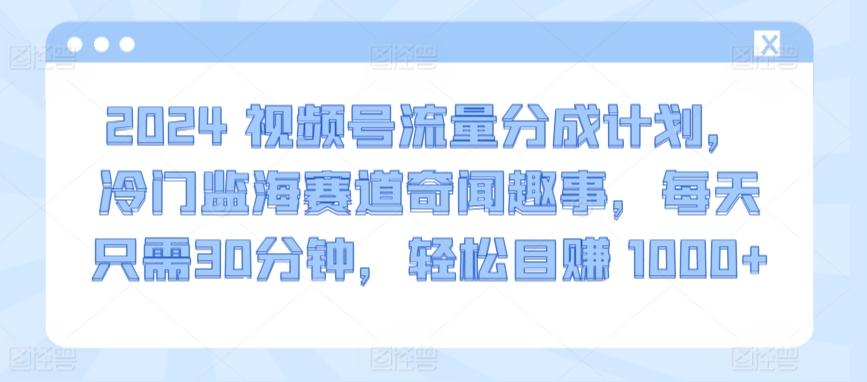 2024视频号流量分成计划，冷门监海赛道奇闻趣事，每天只需30分钟，轻松目赚 1000+【揭秘】-生财社