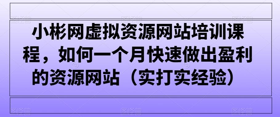 小彬网虚拟资源网站培训课程，如何一个月快速做出盈利的资源网站(实打实经验)-生财社