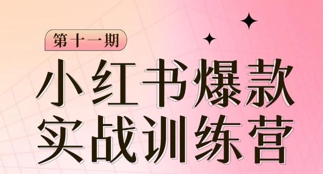 小红书博主爆款训练营第11期，手把手教你从0-1做小红书，从定位到起号到变现-生财社