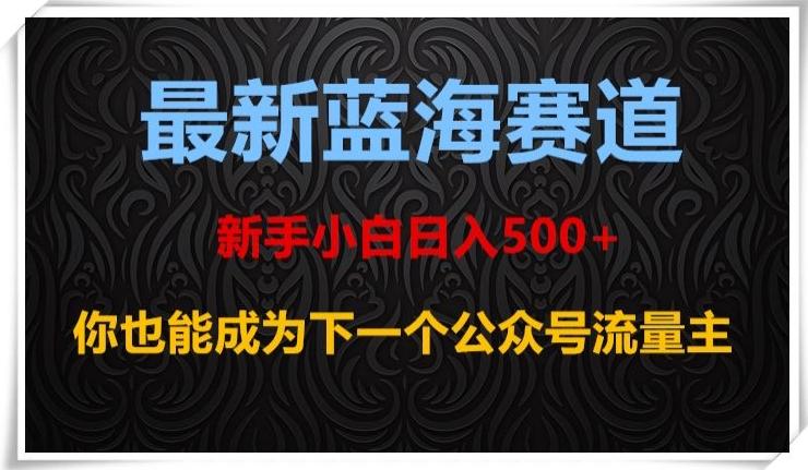最新蓝海赛道，新手小白日入500+，你也能成为下一个公众号流量主【揭秘】-生财社