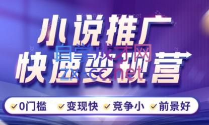 洲洲老师·小说推广快速变现营-生财社