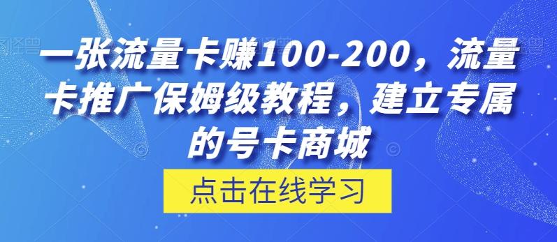一张流量卡赚100-200，流量卡推广保姆级教程，建立专属的号卡商城-生财社