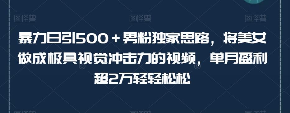 暴力日引500＋男粉独家思路，将美女做成极具视觉冲击力的视频，单月盈利超2万轻轻松松-生财社
