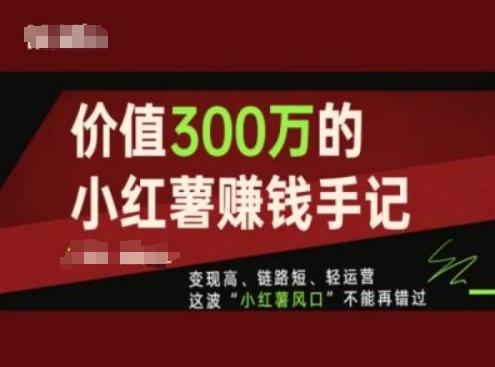 价值300万的小红书赚钱手记，变现高、链路短、轻运营，这波“小红薯风口”不能再错过-生财社