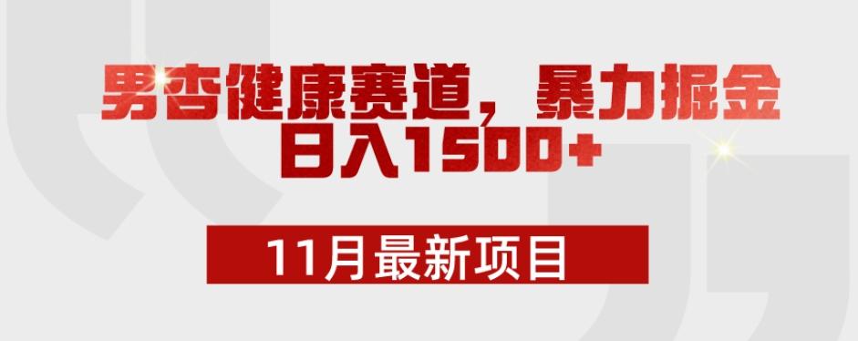 11月最新项目，男杏健康赛道，暴力掘金，日入1500+-生财社
