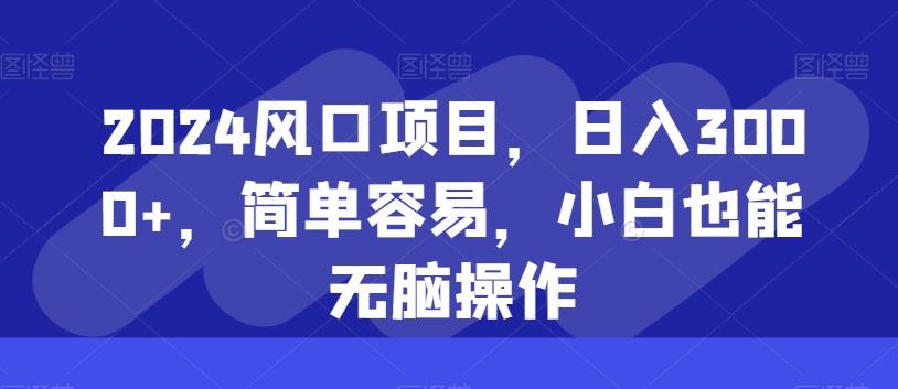 2024风口项目，日入3000+，简单容易，小白也能无脑操作-生财社