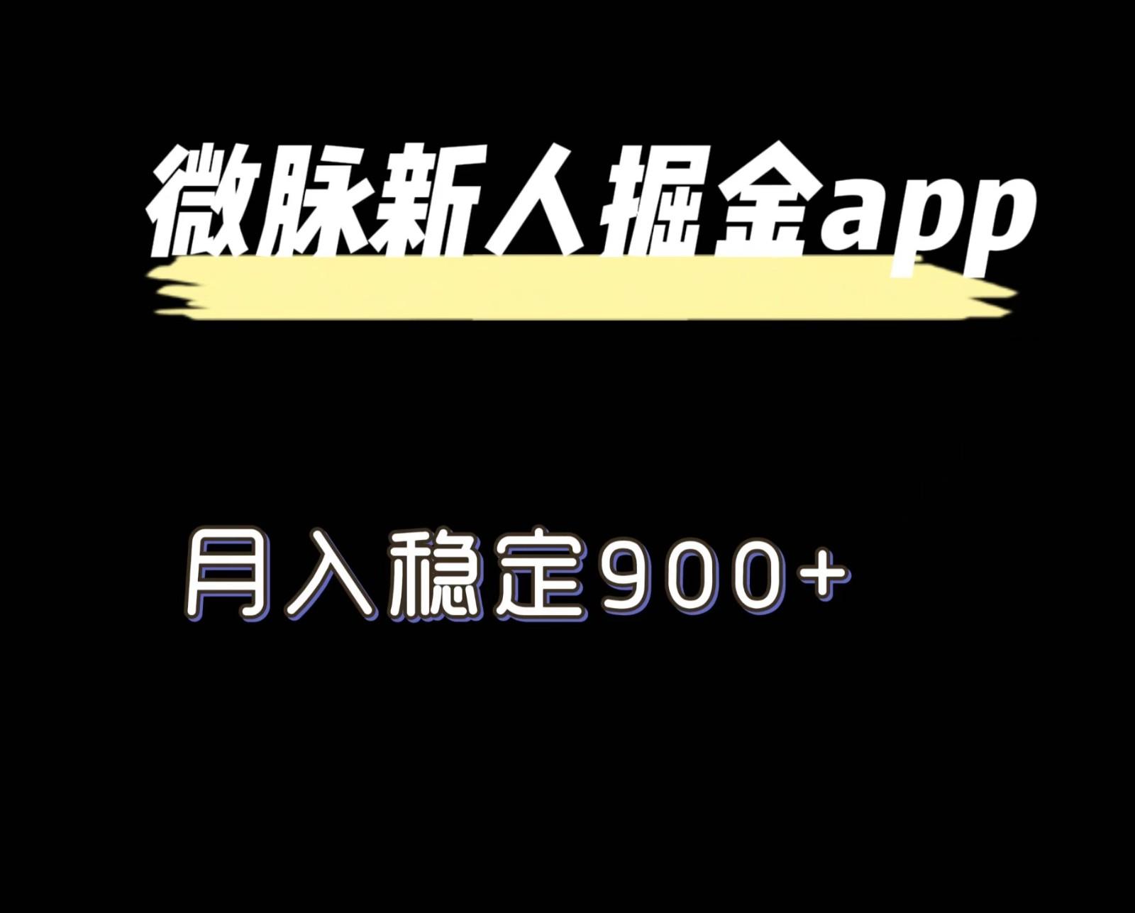 最新微脉长久项目，拉新掘金，月入稳定900+-生财社