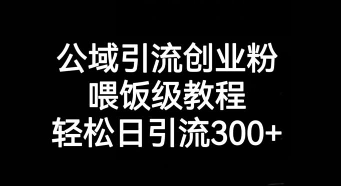 公域引流创业粉，喂饭级教程，轻松日引流300+【揭秘】-生财社