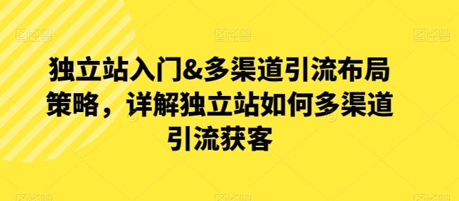 独立站入门&多渠道引流布局策略，详解独立站如何多渠道引流获客-生财社