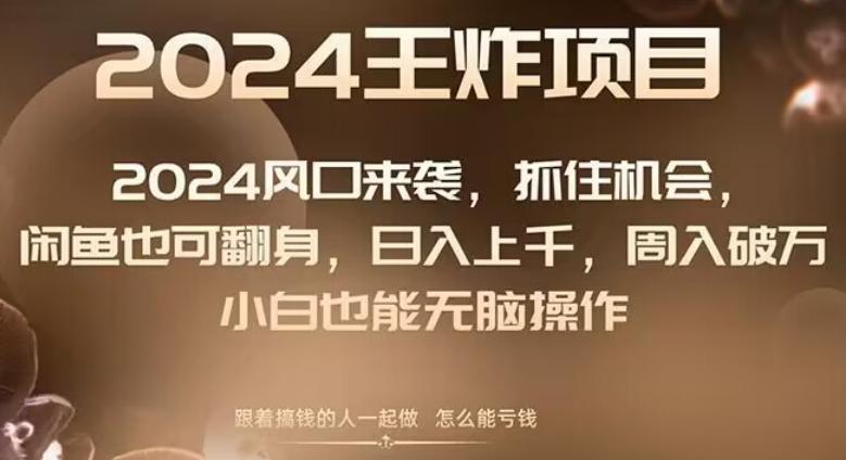 2024风口项目来袭，抓住机会，闲鱼也可翻身，日入上千，周入破万，小白也能无脑操作-生财社