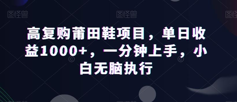 高复购莆田鞋项目，单日收益1000+，一分钟上手，小白无脑执行-生财社