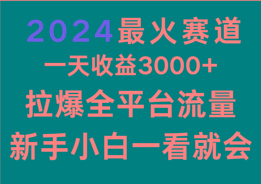2024最火赛道，一天收一3000+.拉爆全平台流量，新手小白一看就会-生财社