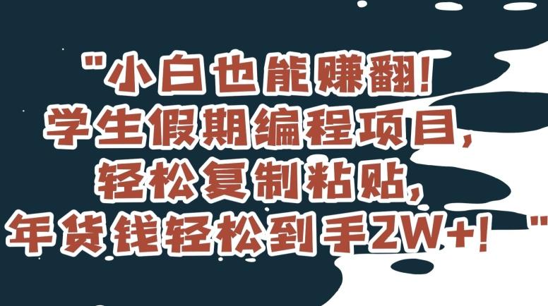 小白也能赚翻！学生假期编程项目，轻松复制粘贴，年货钱轻松到手2W+【揭秘】-生财社