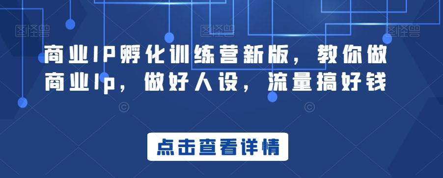 商业IP孵化训练营新版，教你做商业Ip，做好人设，流量搞好钱-生财社