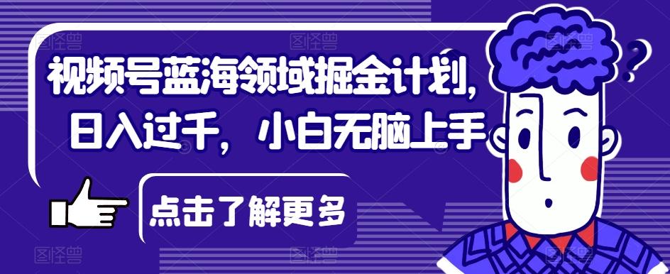 视频号蓝海领域掘金计划，日入过千，小白无脑上手【揭秘】-生财社