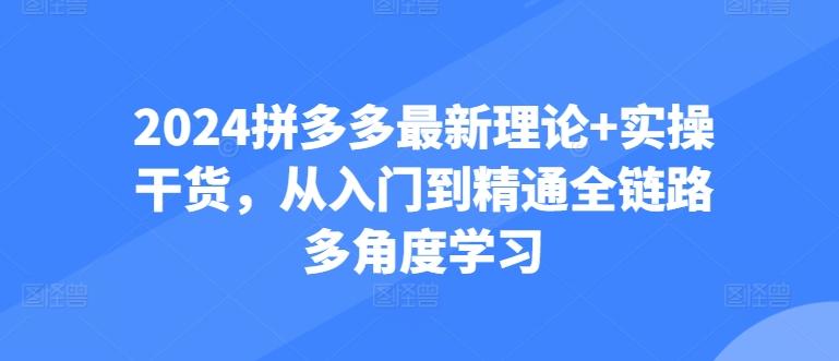 2024拼多多最新理论+实操干货，从入门到精通全链路多角度学习-生财社