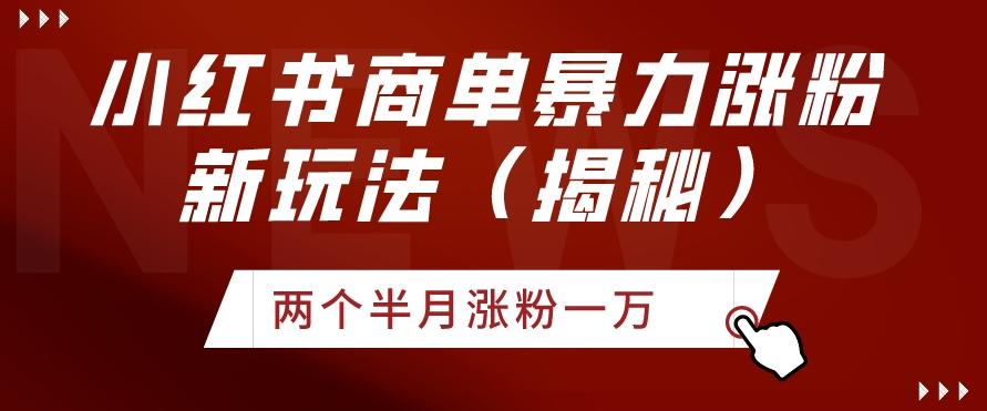 小红书商单暴力涨粉新玩法两个半月涨粉一万（揭秘）-生财社