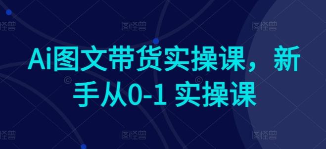 Ai图文带货实操课，新手从0-1 实操课-生财社