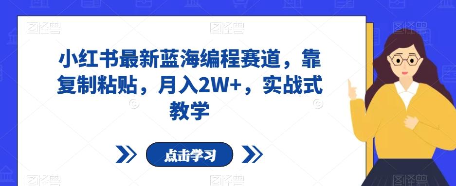 小红书最新蓝海编程赛道，靠复制粘贴，月入2W+，实战式教学【揭秘】-生财社