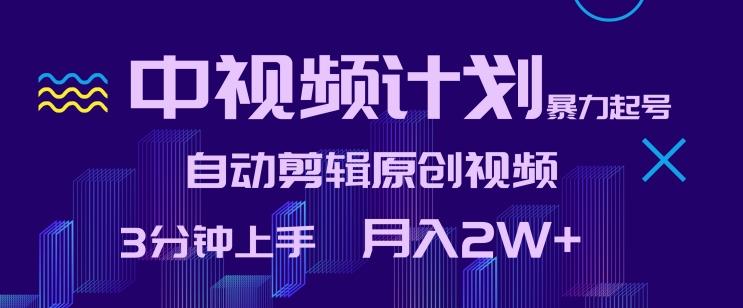 中视频计划暴力起号，自动剪辑原创视频，3分钟上手，月入2W+【揭秘】-生财社