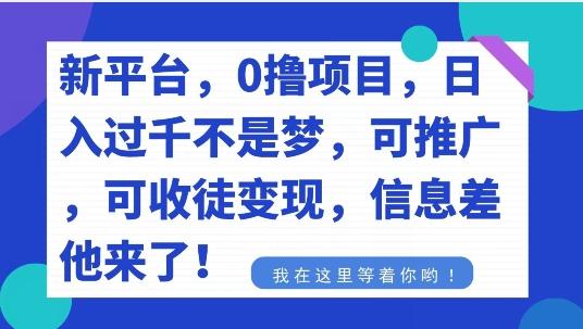 不要再花冤枉钱了，0撸项目，每天坚持，稳定1000+-生财社