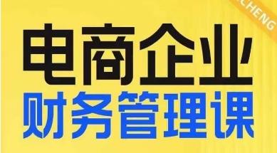 电商企业财务管理线上课，为电商企业规划财税-生财社