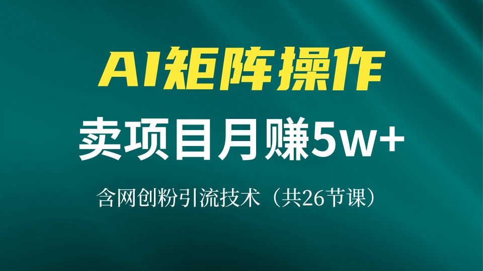 网创IP打造课，借助AI卖项目月赚5万+，含引流技术(共26节课-生财社